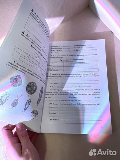 Биология 7 класс. Животные. Рабочая тетрадь