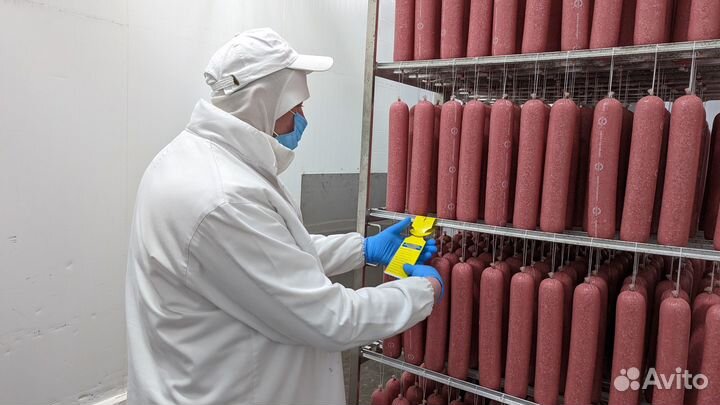 Техник-технолог