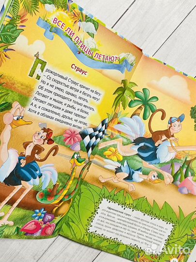 Необыкновенная книга об удивительных животных 4D