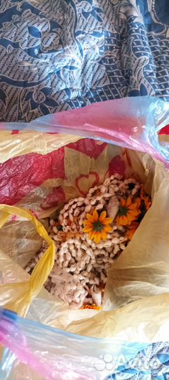 Набор образцов кожи и тканей