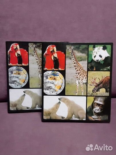 В мире дикой природы. Энциклопедия