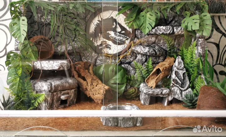 3d фон для террариума