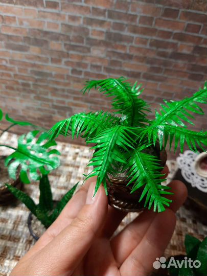 Набор комнатных растений,1:6