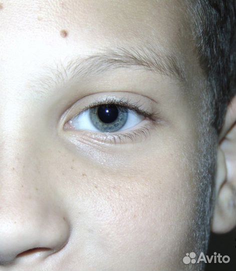 Фотоаппарат Sony DSC H300