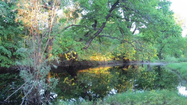 Участок 21,4 сот. (ИЖС)