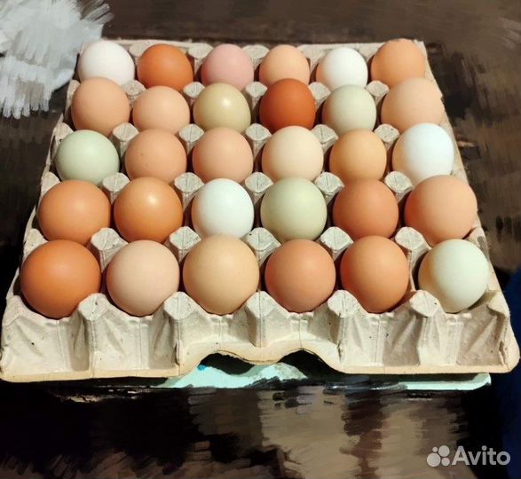 Домашние куриные яйца, диетические