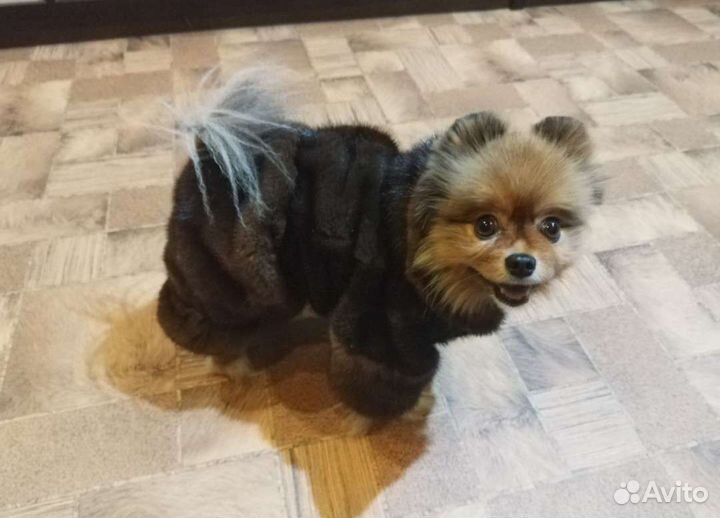 Шубка на собаку