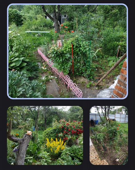 Участок 4,8 сот. (СНТ, ДНП)