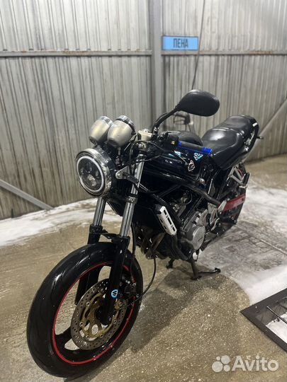 Suzuki bandit gsf250