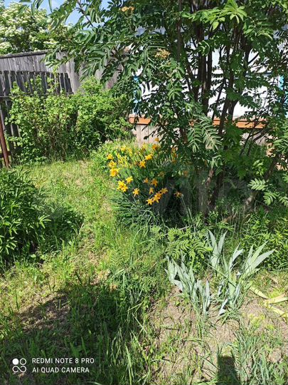 Дом 25,3 м² на участке 15 сот.