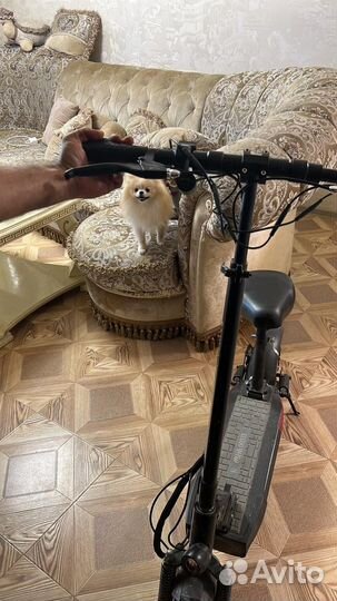 Электросамокат kugoo m4 pro 18ah