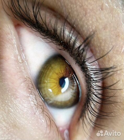 Модели на перманентный макияж. Бесплатно