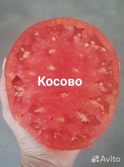 Семена томатов