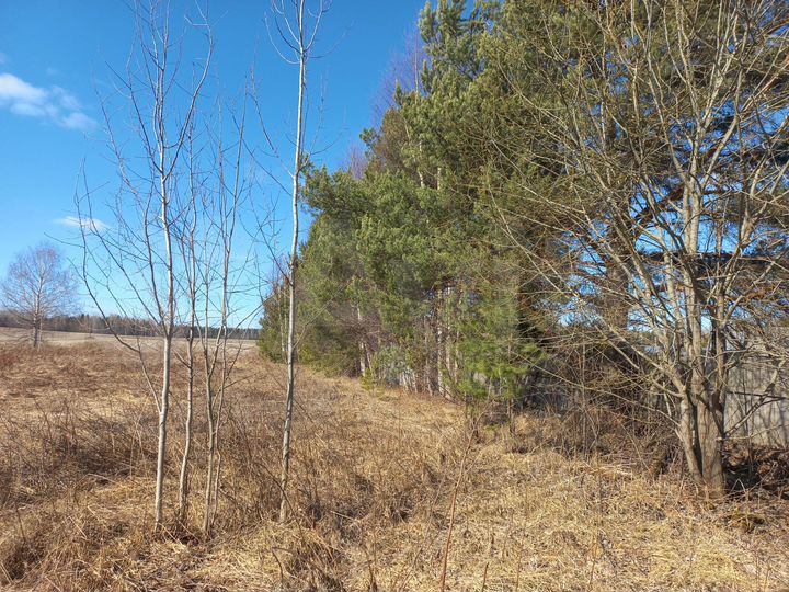 Дом 30 м² на участке 50 сот.