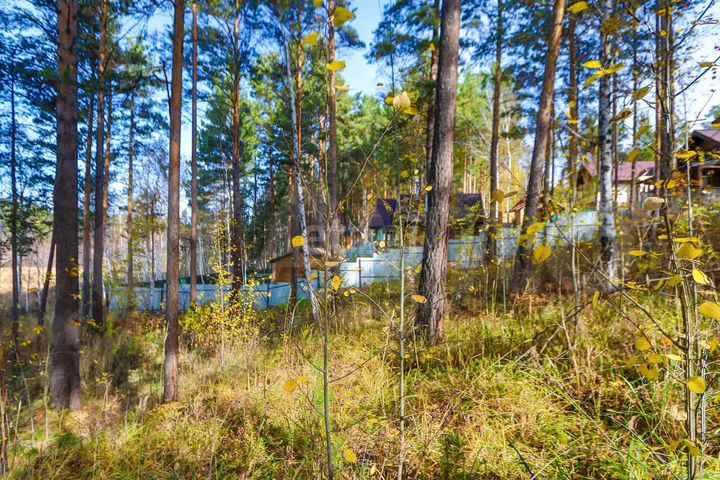 Участок 13,3 сот. (СНТ, ДНП)