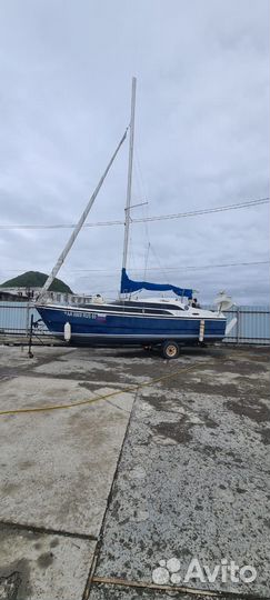 Морская рыбалка на Тунца