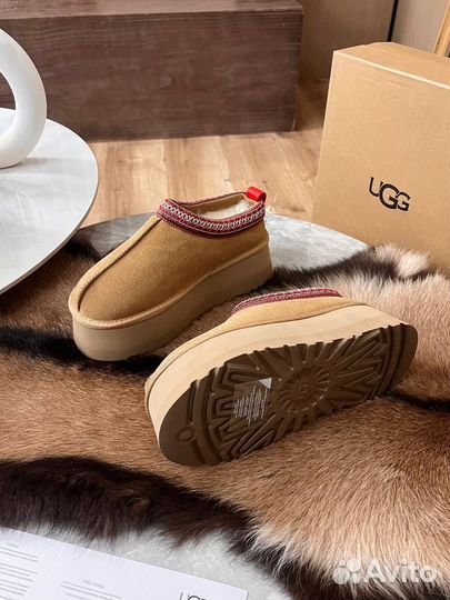 Угги замшевые UGG