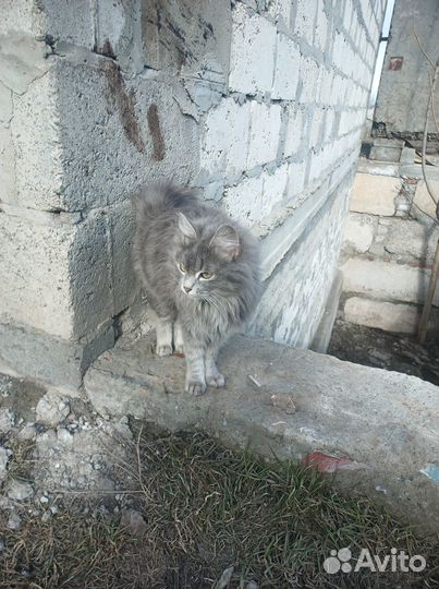 Подарите дом