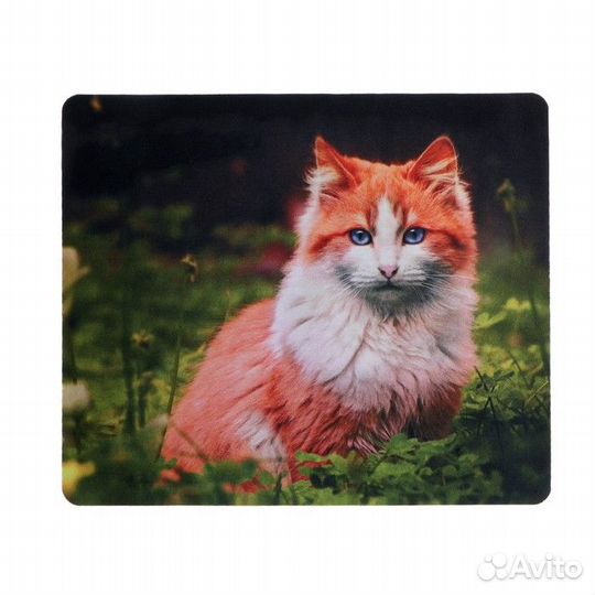 Мышка + Коврик для мыши - Новые