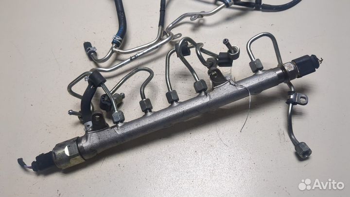 Рампа топливная Volkswagen Passat 7 Европа