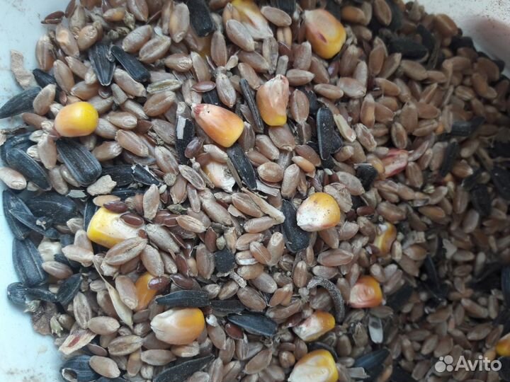 Зерносмесь; перепелинный корм пе-Н3