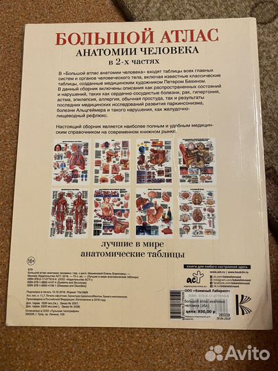 Большой атлас анатомии человека