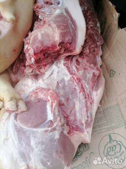 Мясо свинина