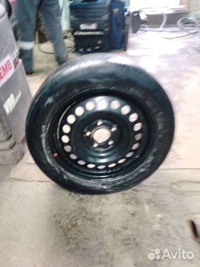 Accelera Accelera 5/55 R16