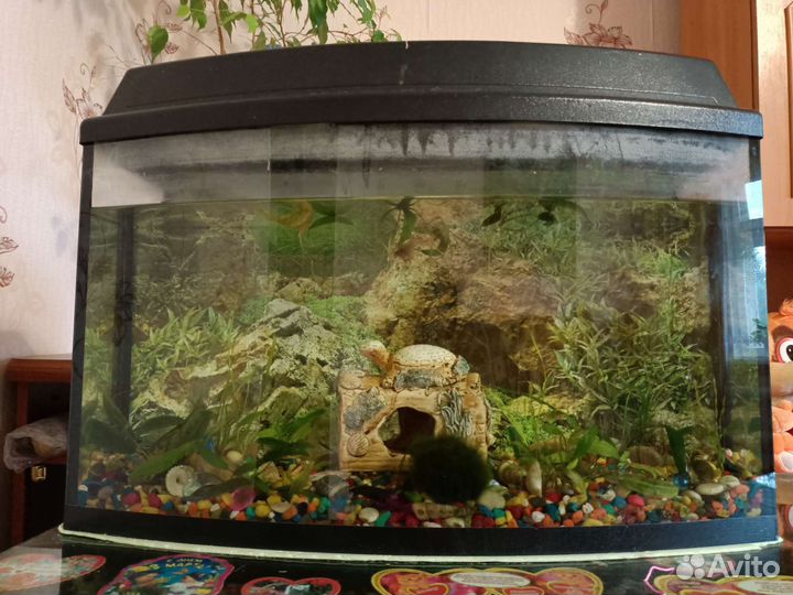 Продам 2 аквариума