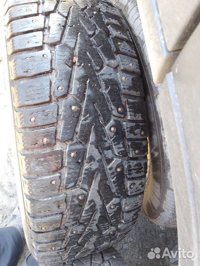 Contyre Arctic Ice 3 2.25/65 R16