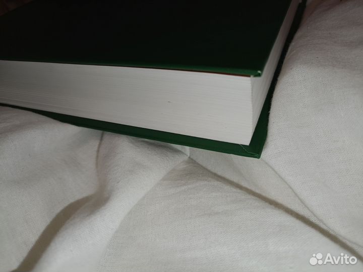 Классики теории гу американская школа/Джей Шафритц