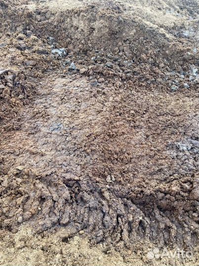 Конский навоз(перегной) с опилкой