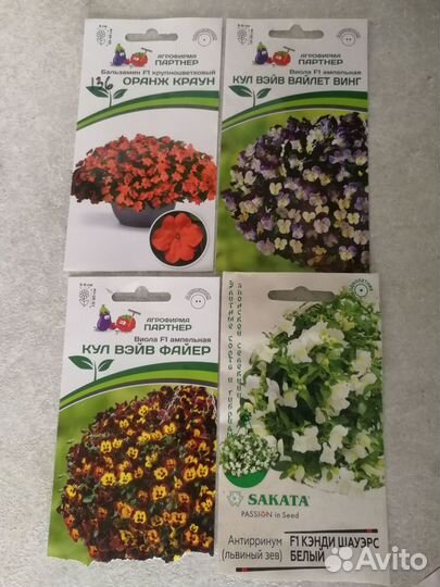 Рассада цветов (петуния, виола, лобелия и др.)