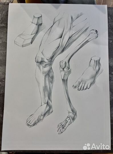 Академический рисунок/портреты/живопись