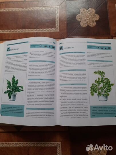 Иллюстрированная энциклопедия комнатных растений