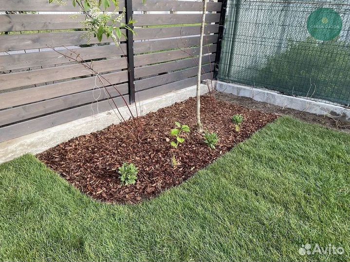 Сосновая мульча