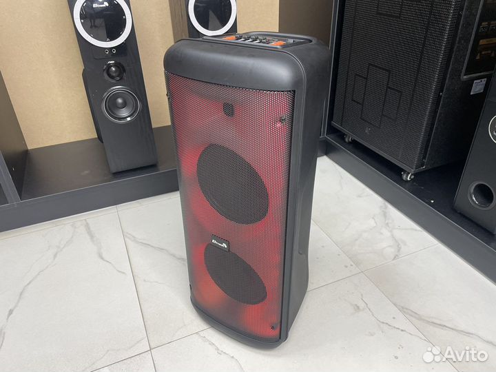 Колонка Eltronic 20-55