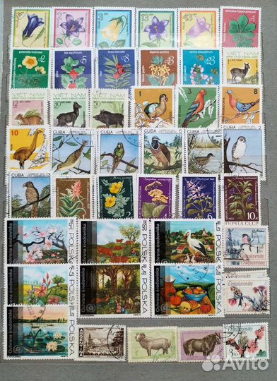 Марки Флора и фауна