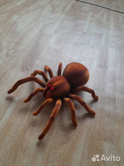 Паук на радиоуправлении