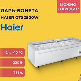 Ларь-бонета Haier GTS2500W