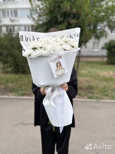 Ромашки Хризантемы Цветы Доставка