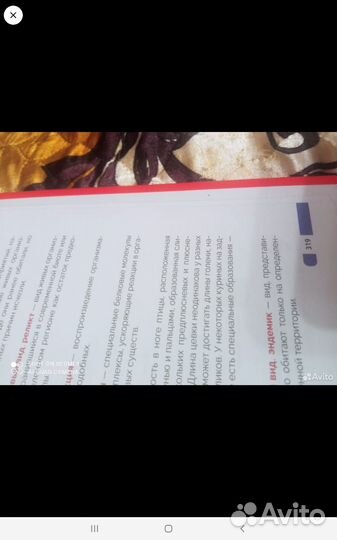 Энциклопедия животных