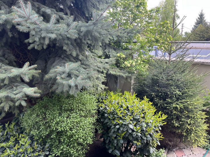 Дом 308,6 м² на участке 6,6 сот.