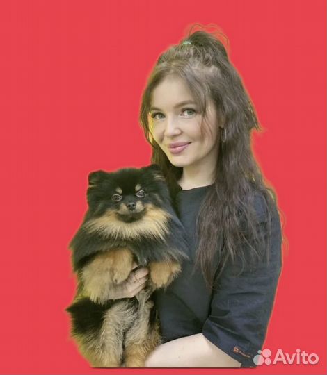 Услуги грумера (стрижка собак, экспресс линька)