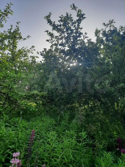 Дача 30 м² на участке 9 сот.