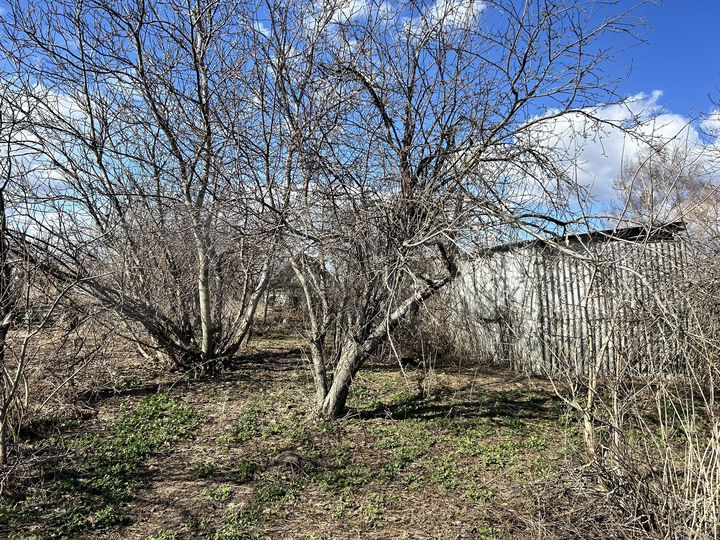 Дом 55 м² на участке 39 сот.