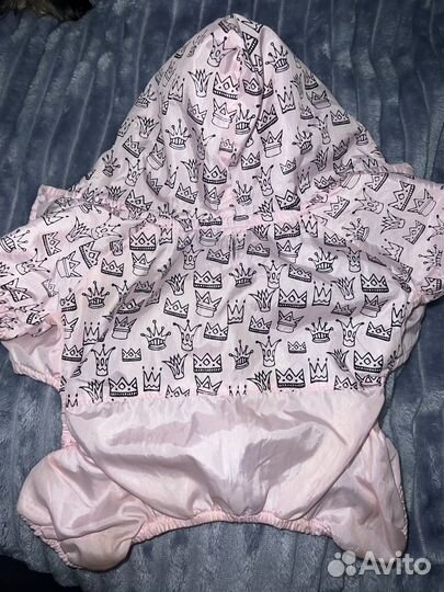 Одежда для собак