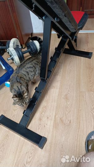 Скамья для жима