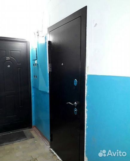 Двери входные