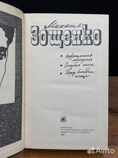 Возвращенная молодость. Голубая книга. Перед восхо